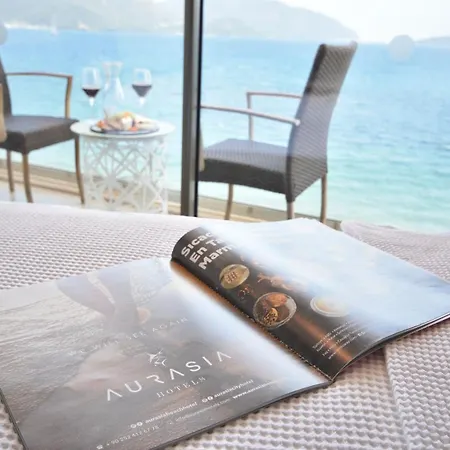 Hotel Aurasia 3*
