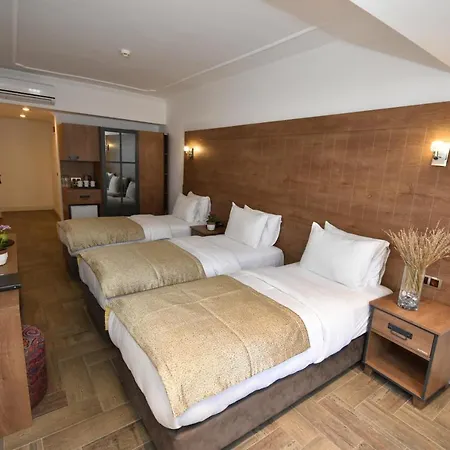 Hotell Aurasia
