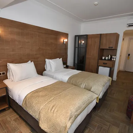 Aurasia Hotell 3*