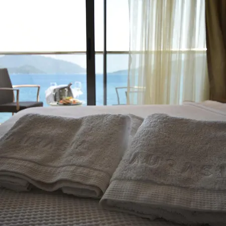 Aurasia Hotel 3*